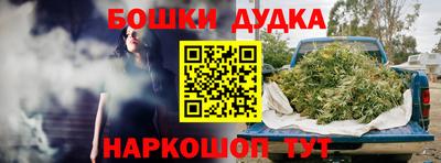 крисы Малгобек