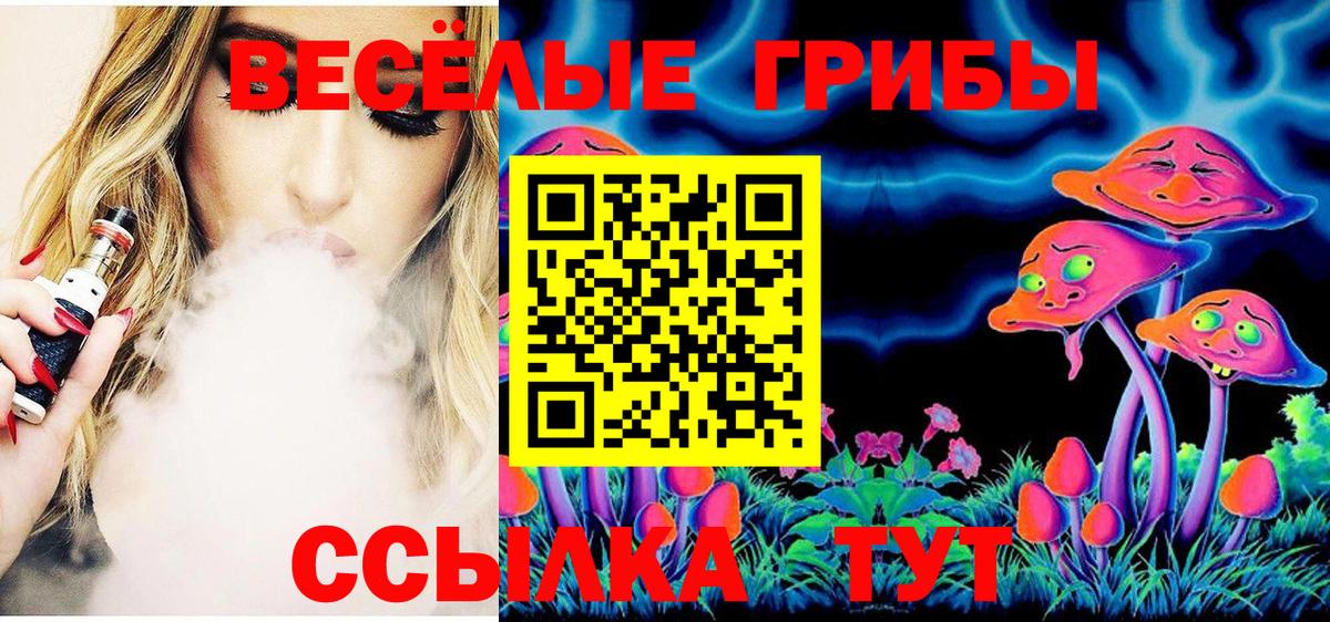 Галлюциногенные грибы GOLDEN TEACHER Грязи