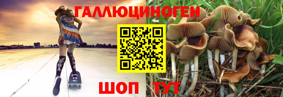 Псилоцибиновые грибы Cubensis  как найти закладки  Галлюциногенные грибы прущие грибы  Грязи  Вход с VPN 